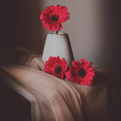 دیجی سجاد مستی